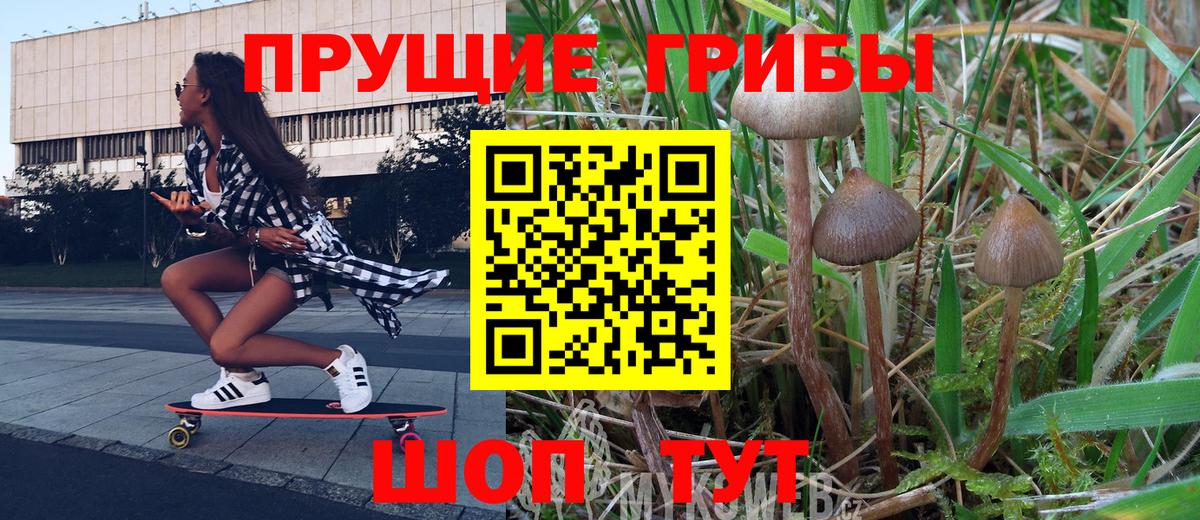 Галлюциногенные грибы прущие грибы  Вход с VPN  Ржев 