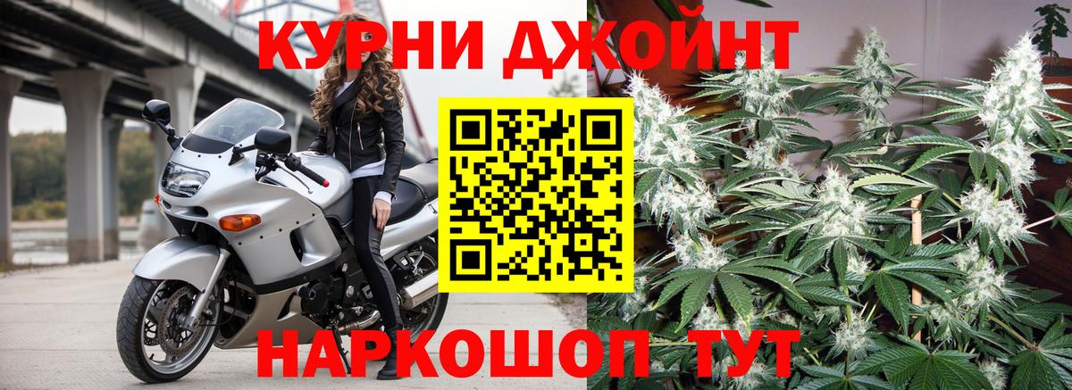 Каннабис конопля Ржев